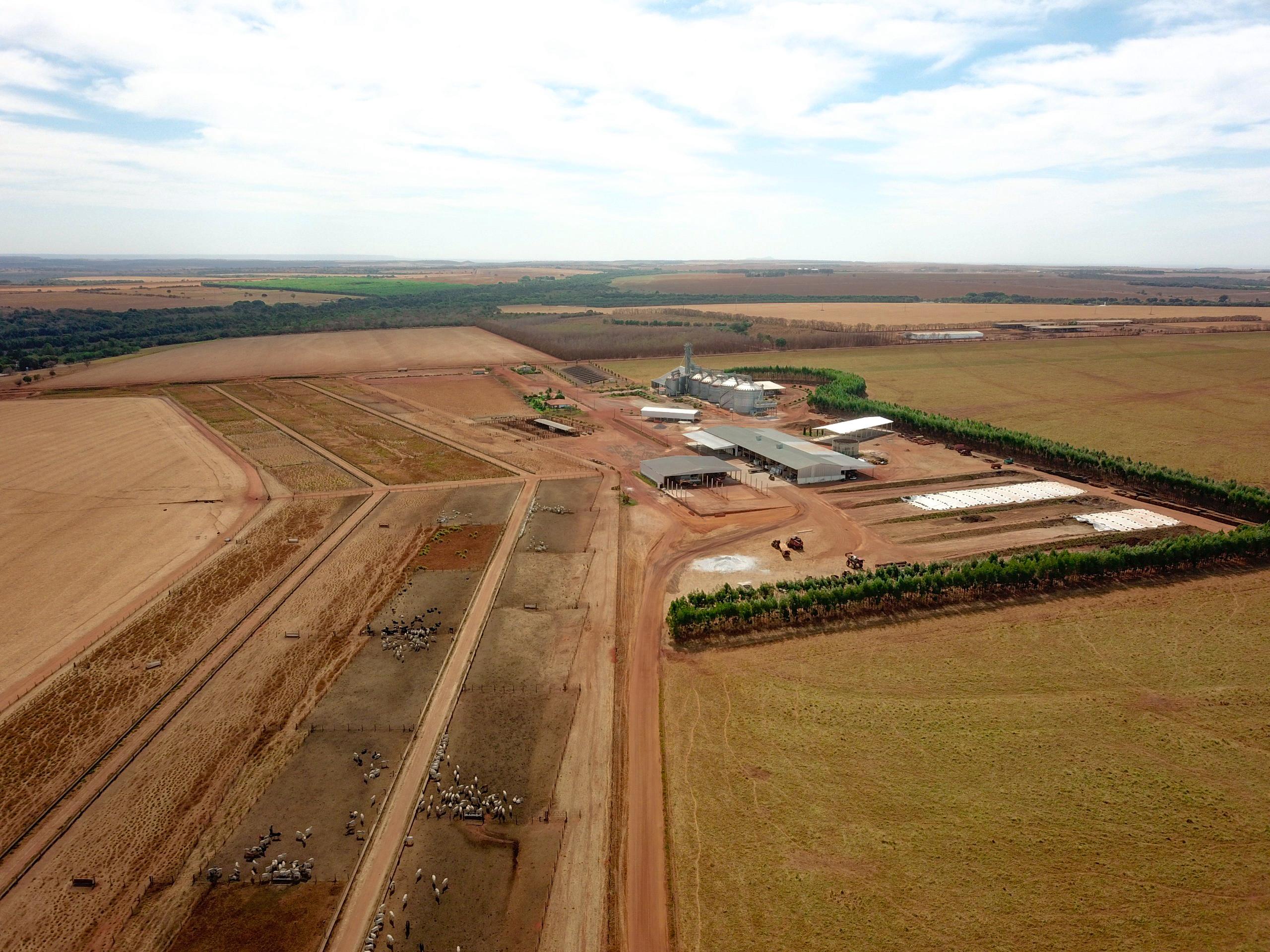 conjunto completo de licenças ambientais e autorizações