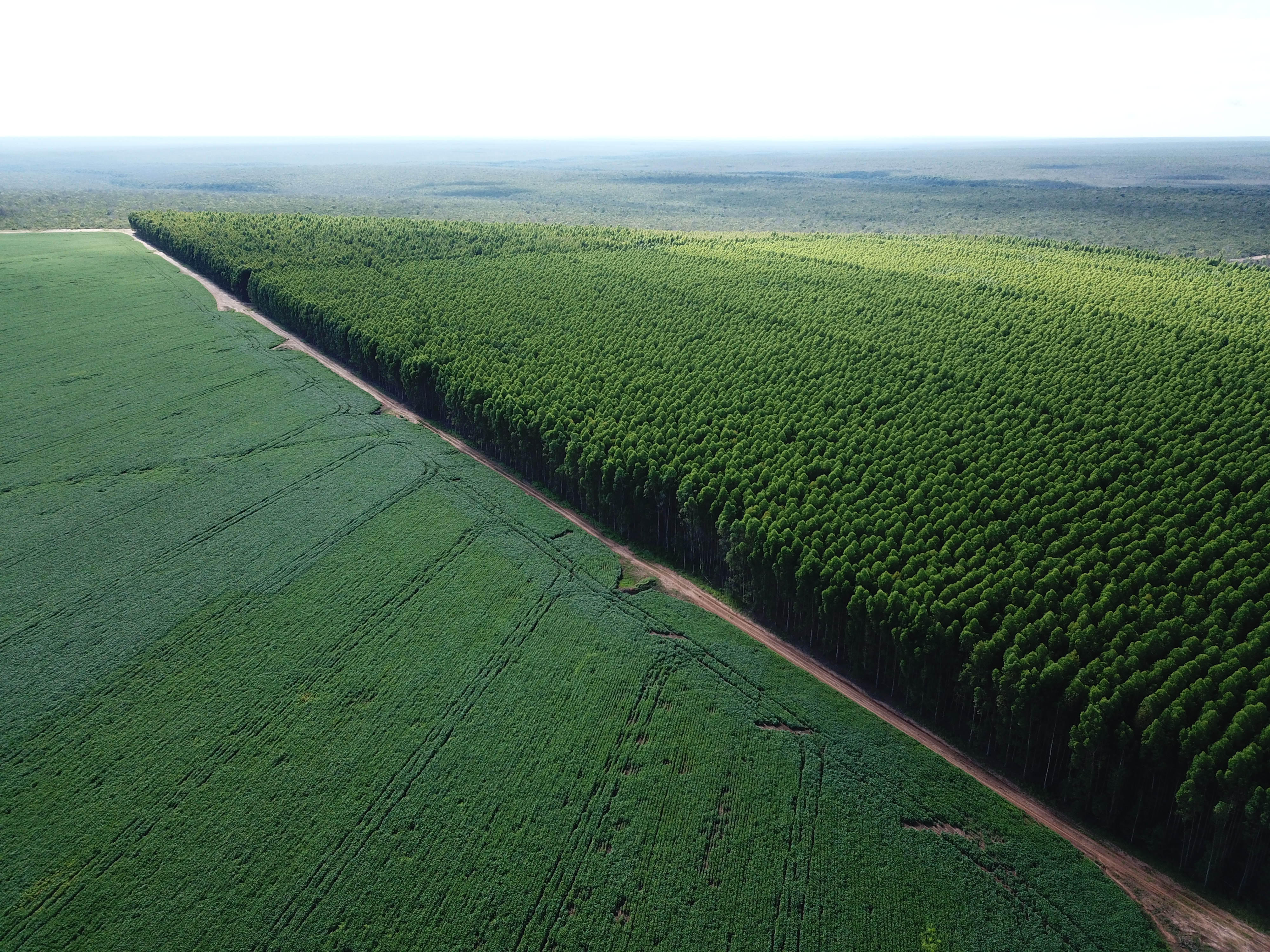 Diagnóstico Ambiental